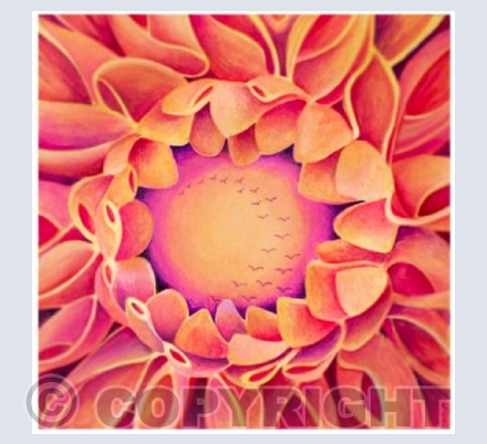 Dahlia Dawn