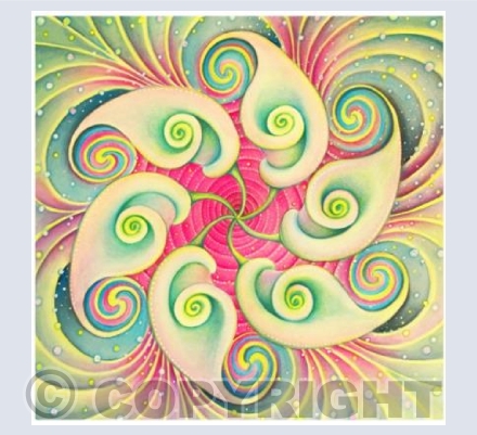 Calla Kaleidoscope