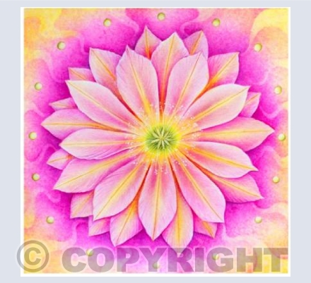 Flower Power