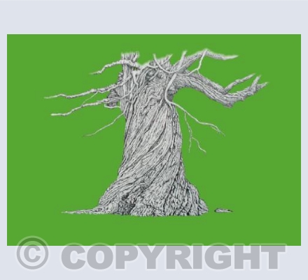 twisted treee