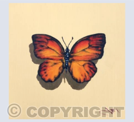 Orange butterfly 
