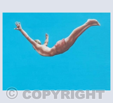 Swallow dive