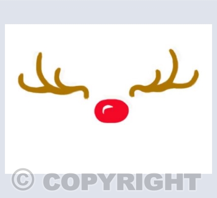 Rudolf on white