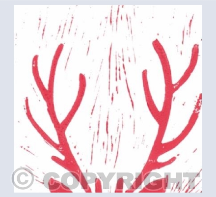 red reindeer