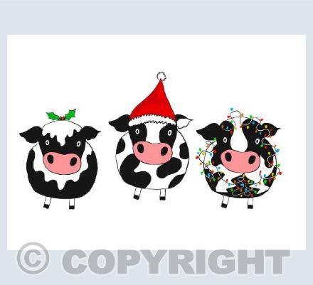 Christmas cows