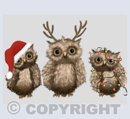 Christmas owls