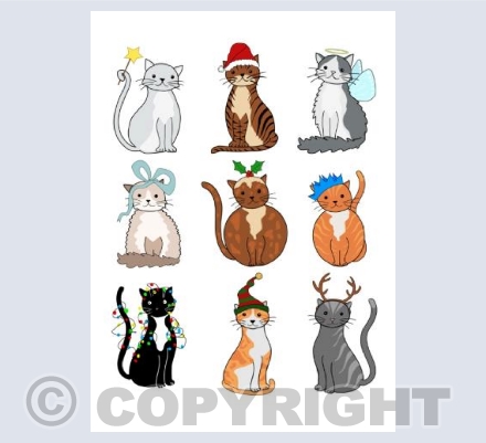 Christmas cats