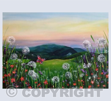 Sunset meadow