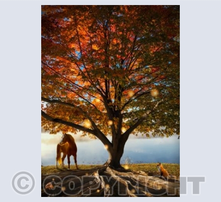 Autumn tree
