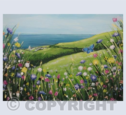 Durlston card