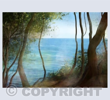 Looking to sea card