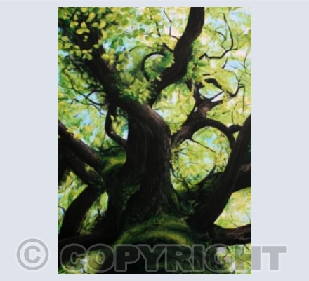 Into the treetops card