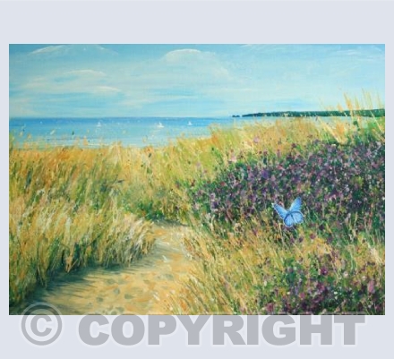 Sand Dunes