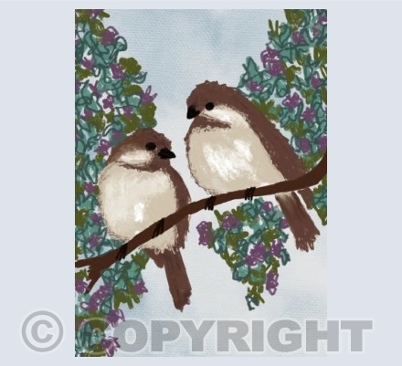 Birdies 