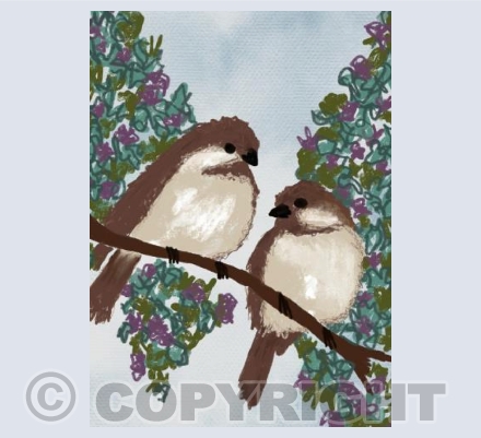 Birdies #2 