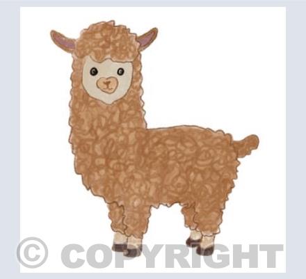 Alpaca 