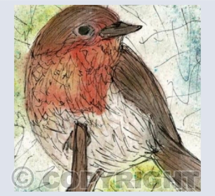 Robin Illustration 
