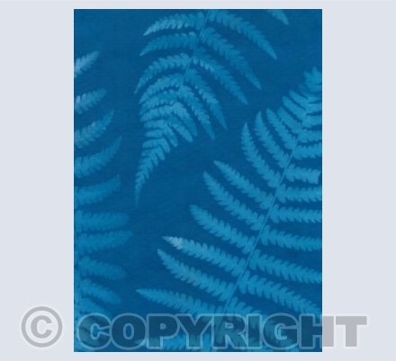 Sun Print #1