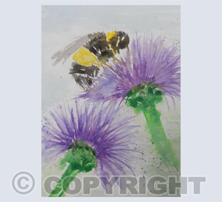 Busy Bee
