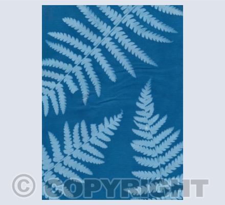Sun Print Leaves 4 