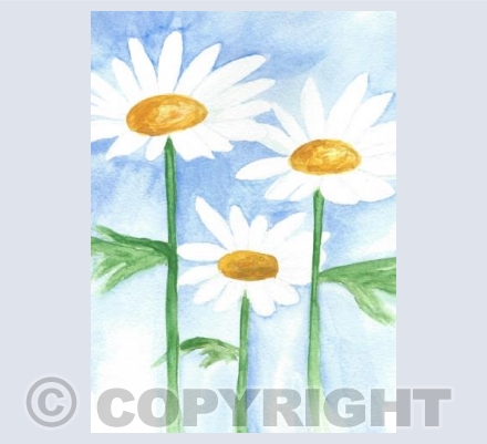 Daisy Day 
