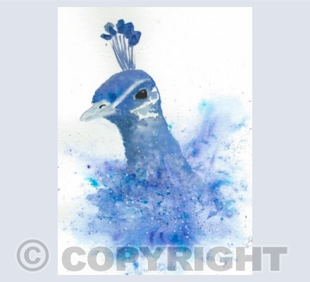 Brusho Burst Bird #1