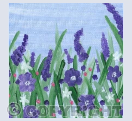 Meadow 