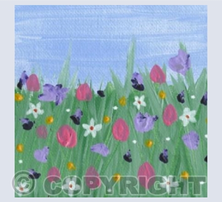 Flower Field 