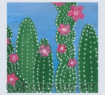Cacti 