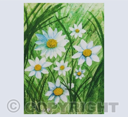 Daisy