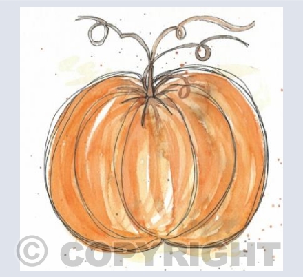 Pumpkin Patch