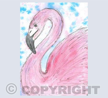 Flamingo 