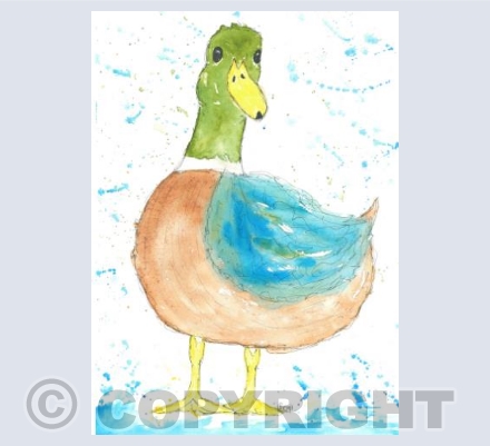 Mr Duck