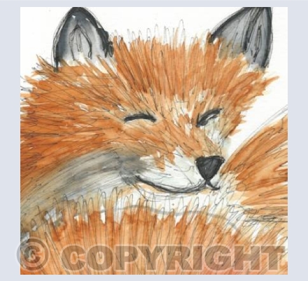 Mr Fox 