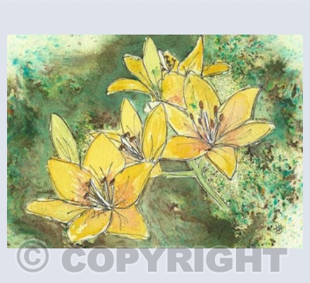 Lilly Burst