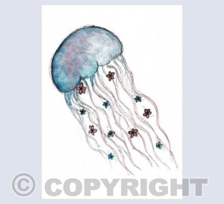 Jellyfish