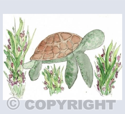 Little Turtle