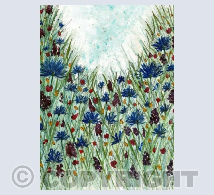Meadow