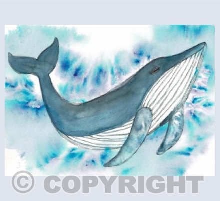 Mr Whale