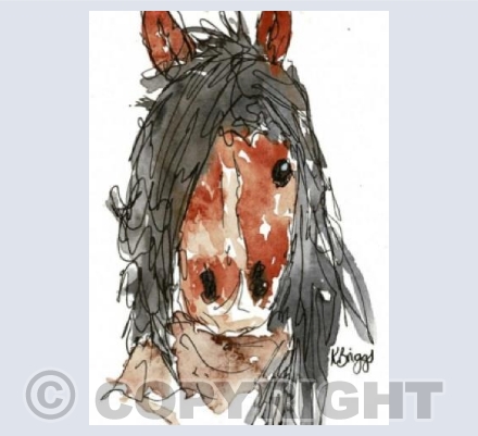 Mr Horse 