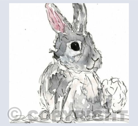 Mr Bunny