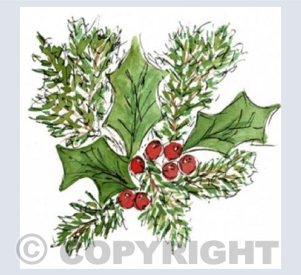 Holly