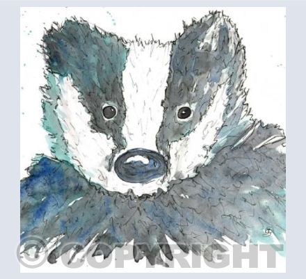 Mr Badger 