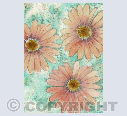 Daisy Day