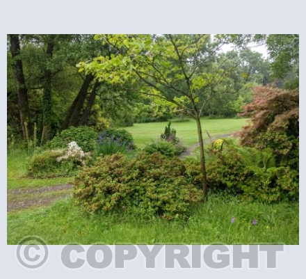Green Space