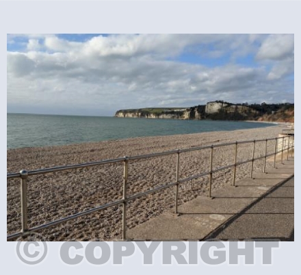 Peace in Seaton