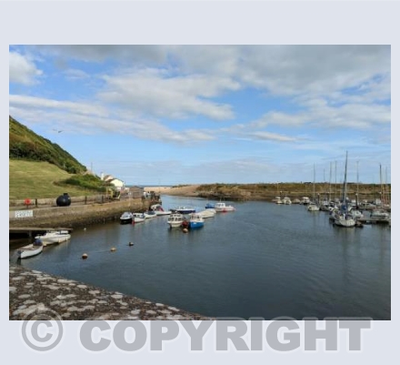 The Harbour