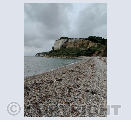 Seaton Beach 