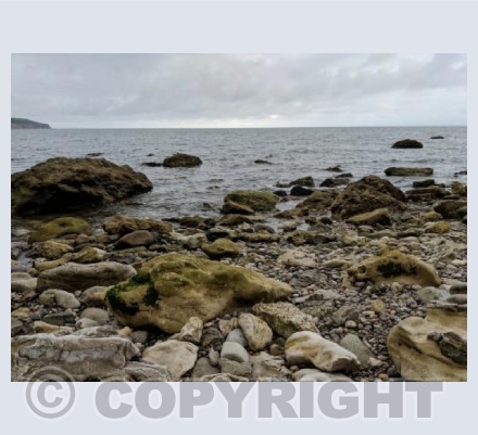 On the rocks 