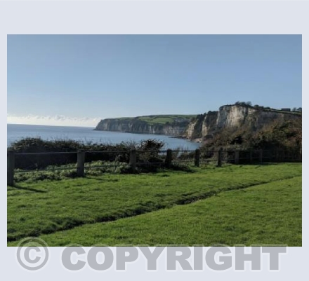 Cliff Top in Seaton 